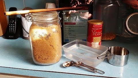Experiment Mondays: Yeast and Sugar!