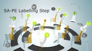 PlexBio Multiplex Technology