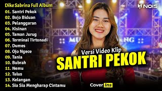 Dike Sabrina - Santri Pekok, Bojo Biduan, Pelanggaran | Full Album Terbaru 2023 (Video Klip)