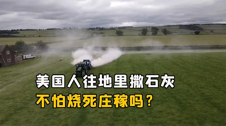 美国人往庄稼地撒石灰，不怕把庄稼烧死吗？地里撒石灰有什么用？ - 天天要闻