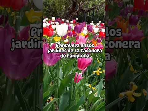 😍 Los jardines
