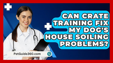 Can Crate Training Fix My Dog
