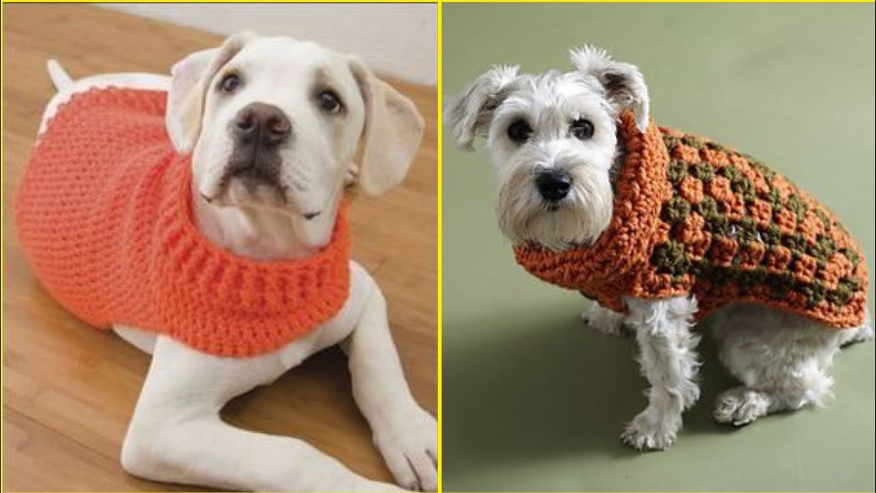 lion brand free crochet dog sweater pattern - YouTube lion-brand-free-crochet-dog-sweater-pattern-youtube