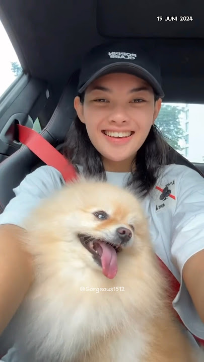 Kimi jalan - jalan w/ papi, oma & opa 🥰💖 @DealTheJokers #marella #yumikwandy #kimi #intm #dtj
