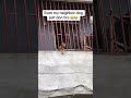 #animals #youtubeshorts