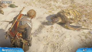 Assassins Creed Black Flag Resynced - All Friendly Animal Locations (AC Black Flag)
