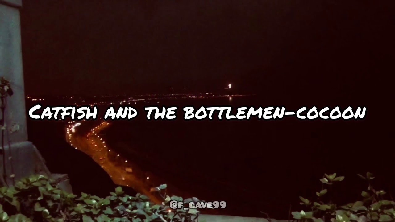 download cocoon catfish and the bottlemen download cocoon catfish and the bottlemen
