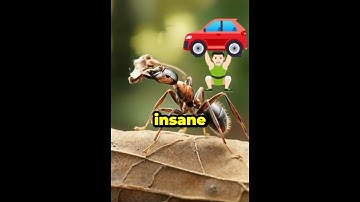 Ants vs Humans Who’s Stronger 🐜💪 #shorts #animals #facts