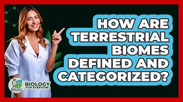 How Are Terrestrial Biomes Defined And Categorized? - Biology For Everyone
