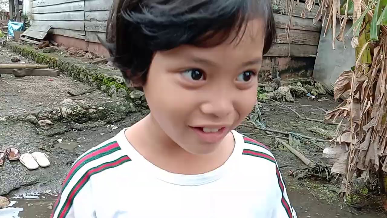 Ambo na site macei gara gara site na jambangi alena