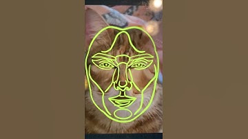 Perfect face cat          #perfectface #art #cat #procreate