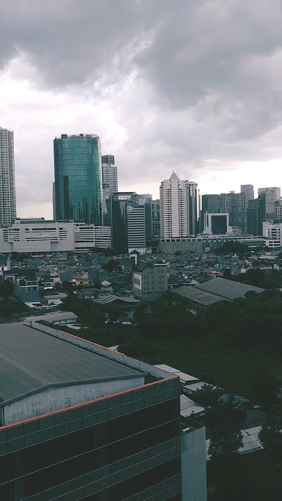 Viral story wa kisah usang tikus berdasi #shorts