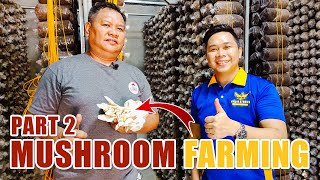 MUSHROOM FARMING (PART 2) | BUHAY AY BUMUTI, DAHIL SA PAGKAKABUTE: A SUCCESS STORY OF MR. CARILLO