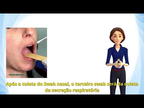 #2 Coleta de