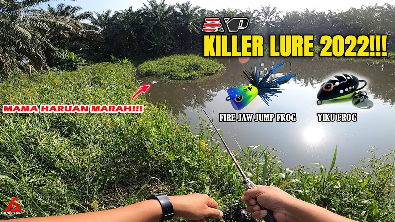 Killer EXP Jump Frog & Soft Frog 2022 !!! | EXP YUKI FROG | EXP FIRE JAW JUMP FROG