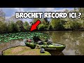 Une session brochet exceptionnelle en rivière sauvage ! (Pêche en kayak)