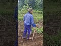 The process of making a hole in the ground with simple tools-Agriculture farming #shorts