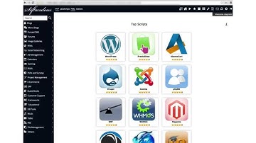 WordPress Tutorial Pt. 1: Domains, hosting & WordPress setup