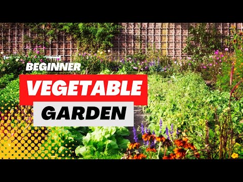 Video: Din guide til at starte en grøntsagshave