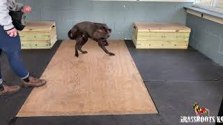 Passive Alert Drills with Chapman