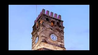 Portcullis - The Mini Vandals