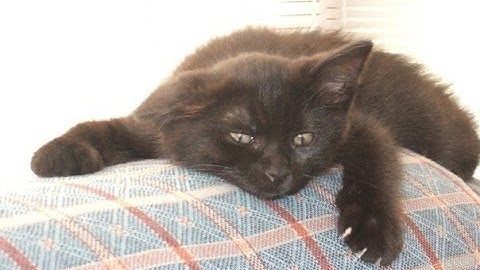 MUSIC VIDEO - My Missing Variable - by Jackie King