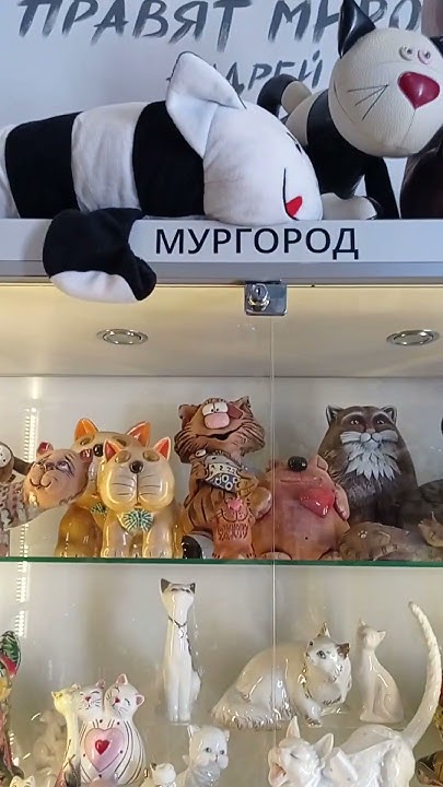 город Зеленоград, музей кошек, Мурариум - YouTube