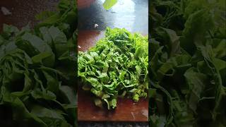 "Gandhari 🌿 saag simple recipe"😋 Village style ☺️ #youtubeshorts #vlog #food #cooking
