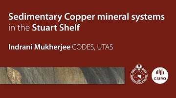 SedCu workshop: The power of pyrite - vectoring using pyrite chemistry: Indrani Mukherjee