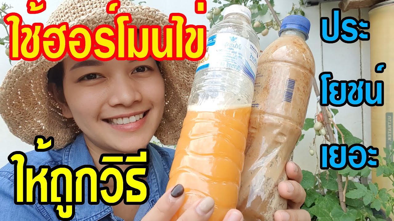 วิธีใช้ฮอร์โมนไข่ ให้ได้ผลดี ใช้ให้ถูกต้อง ฮอร์โมนไข่ ประโยชน์เพียบ by ต่าย