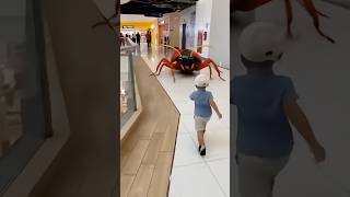 Afraid of Cockroaches ❎ Cockroaches Afraid ✅ . The cockroaches are chased instead 🤣