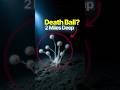 Scientists Found a Carnivorous Death Ball in the Deep Sea