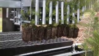 Risutec Apc 2.0 Seedling Container For Tree Seedlings