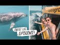 We Finally SWAM WITH DOLPHINS! + Delicious New Zealand Farmer's Market 🍽