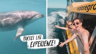 We Finally SWAM WITH DOLPHINS! + Delicious New Zealand Farmer's Market 🍽