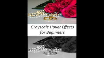CSS Filter & Grayscale Hover Effect - pure CSS For Beginners