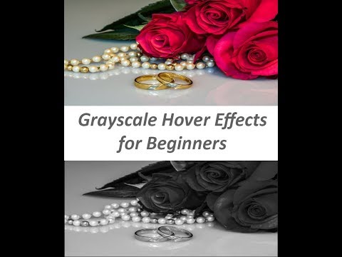 CSS Filter & Grayscale Hover Effect - pure CSS For Beginners