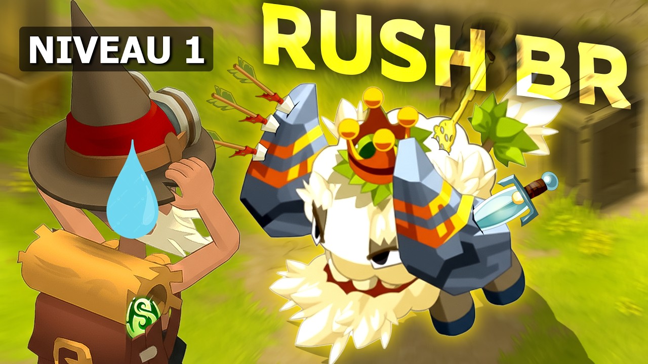 Du LVL 1 au BOUFTOU ROYAL sur DOFUS (Meilleures Classes SOLO)