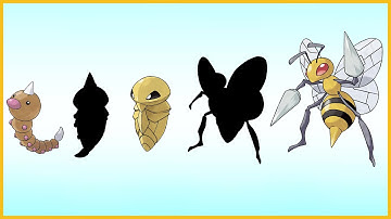 What if Pokemon had more Evolution Stages? | Weedle | Kakuna | Beedrill