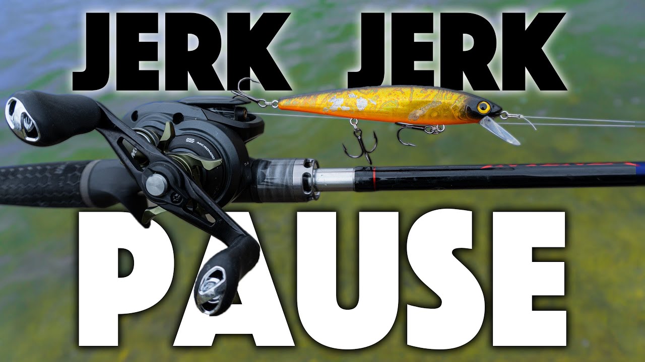 Choosing A Jerkbait Rod & Reel [Jerk Jerk Pause Ep.02] 