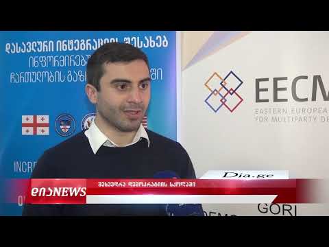 შეხვედრა დემოკრატიის სკოლაში 27.02.2020