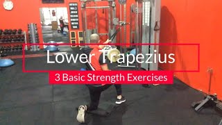 Simple Exercises To Strengthen Lower Trapezius Exercises & Improve Scapula Control