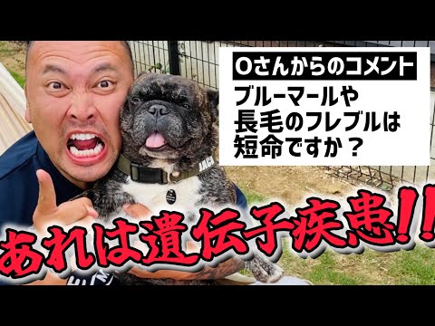 僕たちってやつは。 - YouTube