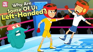 why are some of us left handed? | left handedness | the dr binocs show | peekaboo kidz