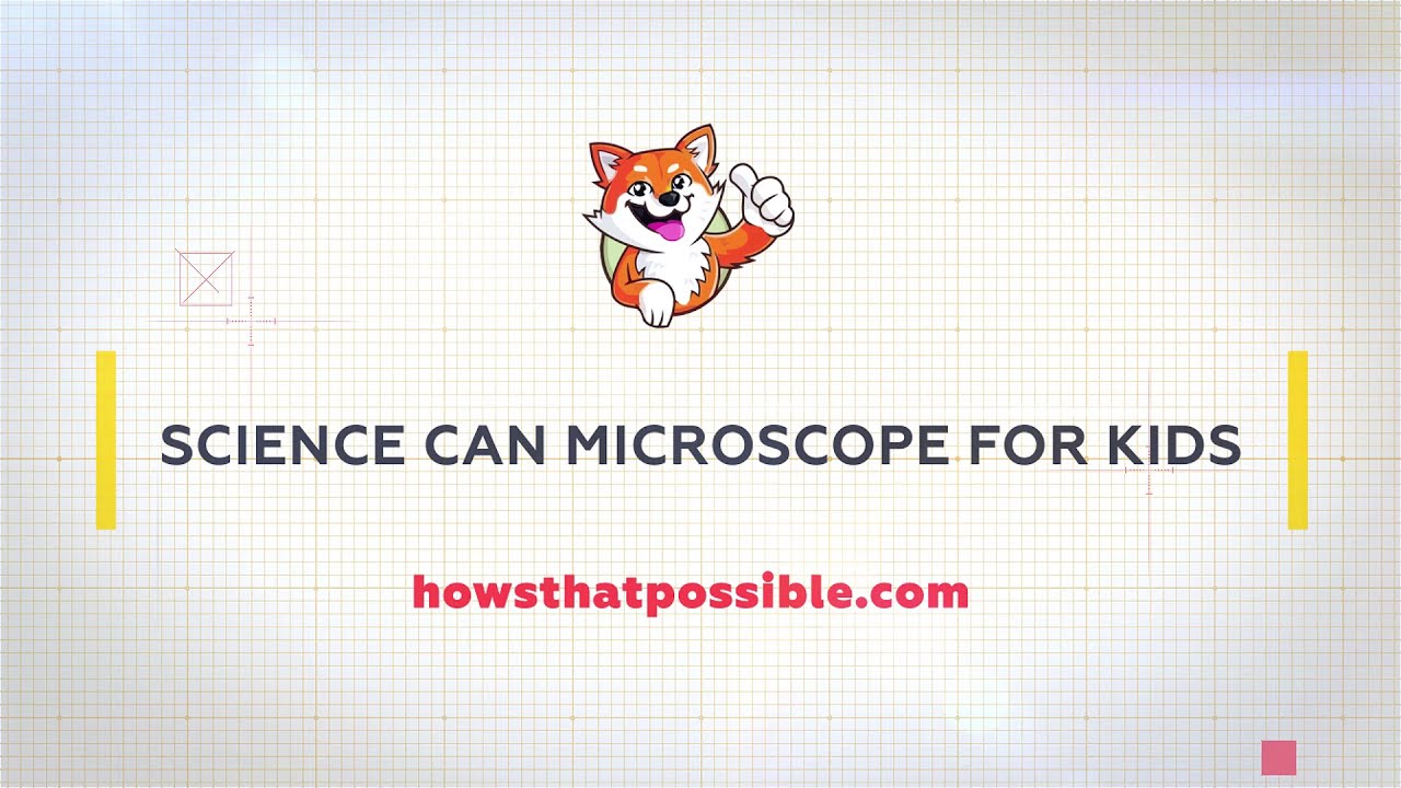 Microscope Science Kit for Kids (CAD1211)