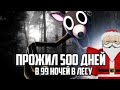 ВЫЖИЛ 500 ДНЕЙ В 99 НОЧЕЙ В ЛЕСУ|99 Night in the forest