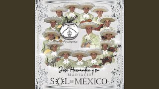 Video thumbnail of "Mariachi Sol De Mexico De Jose Hernandez - Contigo Aprendí"