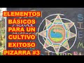 CULTIVA CON ÉXITO PRACTICANDO ESTOS ELEMENTOS BÁSICOS. &quot;ESTRELLA TARTÉSICA DEL CULTIVO&quot;