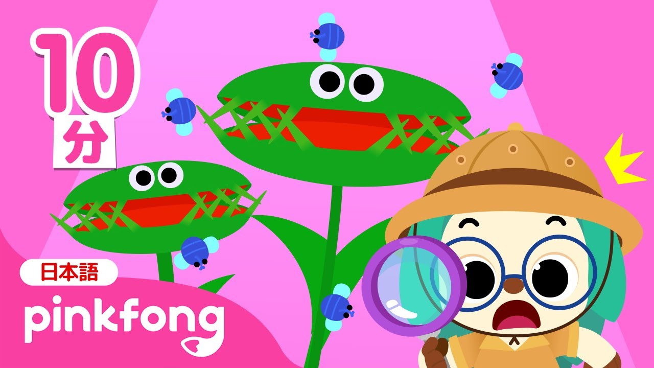 虫さんいらっしゃい！ぼくらは食虫植物🪴 | どうしてかな？子どもの質問に答える | ふしぎの歌 | 子どもの歌 | ベイビーシャークとピンキッツ