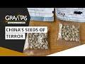 Gravitas: China's seeds of terror reach more countries